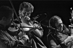 Black Twig Pickers live at Buchanan Memorial Hall – pic © Loch Lomond Studios / Dave Arcari